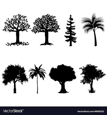 set of trees silhouettes silhouettes of trees