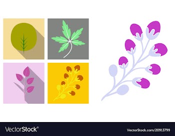 Set of treesleaves and flowers in flat concepts vector image