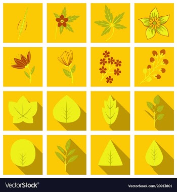 Set of treesleaves and flowers in flat concepts vector image