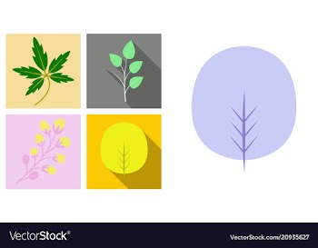 Set of treesleaves and flowers in flat concepts vector image