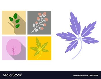 Set of treesleaves and flowers in flat concepts vector image