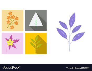 Set of treesleaves and flowers in flat concepts vector image