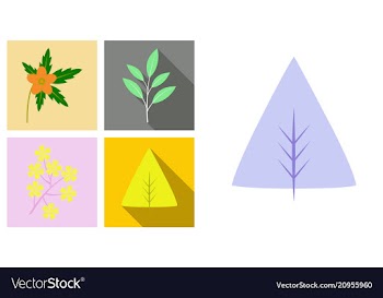 Set of treesleaves and flowers in flat concepts vector image