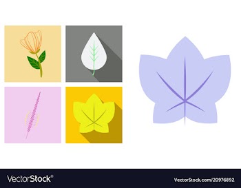 Set of treesleaves and flowers in flat concepts vector image