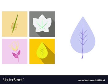 Set of treesleaves and flowers in flat concepts vector image