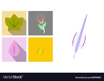 Set of treesleaves and flowers in flat concepts vector image
