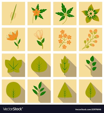 Set of treesleaves and flowers in flat concepts vector image