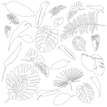 Set of tropical leaves drawing style, simple line