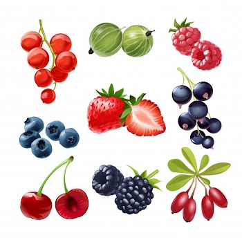 Set of vector icons  juicy ripe berries Free Vector