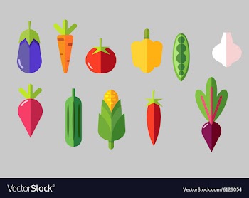 Set of vegetable icons vector image
