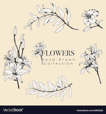 set of vintage lily flowers and leaves