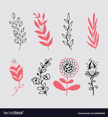 Set of vintage ornaments with floral elements for vector image