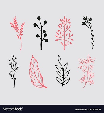 Set of vintage ornaments with floral elements for vector image
