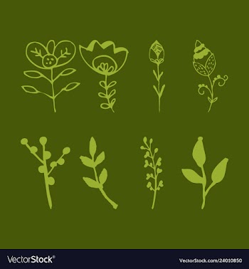 Set of vintage ornaments with floral elements for vector image