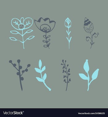 Set of vintage ornaments with floral elements for vector image