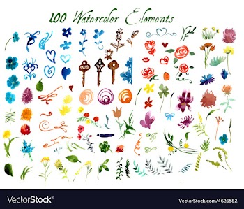 Set of Watercolor Floral Elements vector image