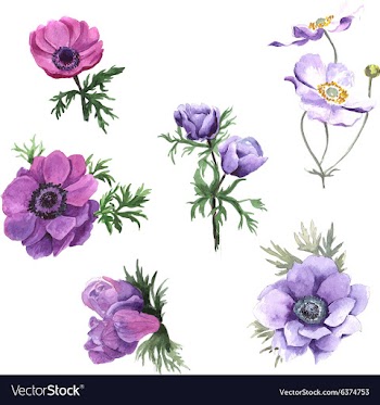 Set of watercolor flowers vector image