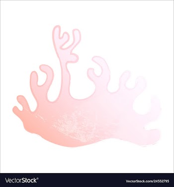 Set of watercolor seaweed and corals isolated on vector image