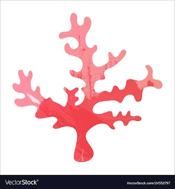Set of watercolor seaweed and corals isolated on vector image