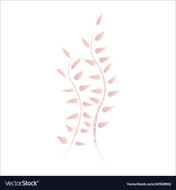 Set of watercolor seaweed and corals isolated on vector image
