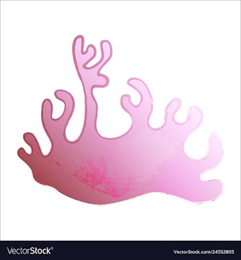 Set of watercolor seaweed and corals isolated on vector image
