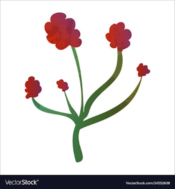Set of watercolor seaweed and corals isolated on vector image