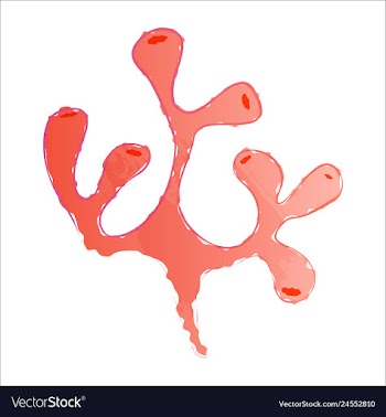 Set of watercolor seaweed and corals isolated on vector image