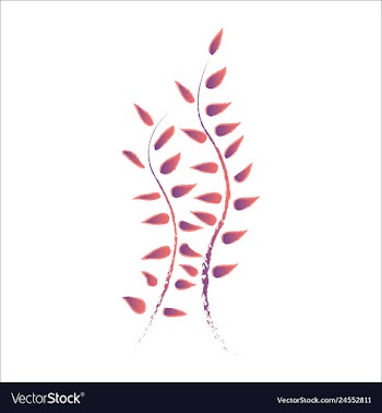 Set of watercolor seaweed and corals isolated on vector image