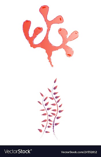 Set of watercolor seaweed and corals isolated on vector image