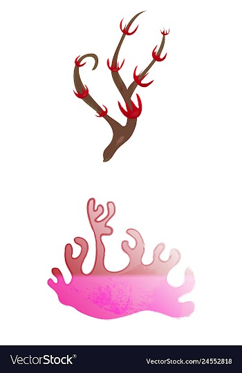 Set of watercolor seaweed and corals isolated on vector image