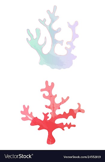 Set of watercolor seaweed and corals isolated on vector image
