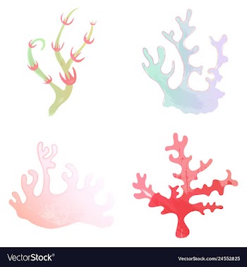 Set of watercolor seaweed and corals isolated on vector image