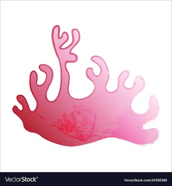 Set of watercolor seaweed and corals isolated on vector image