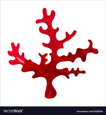 Set of watercolor seaweed and corals isolated on vector image