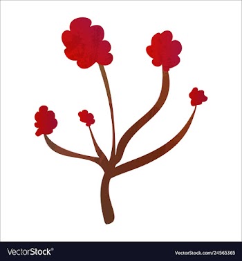 Set of watercolor seaweed and corals isolated on vector image