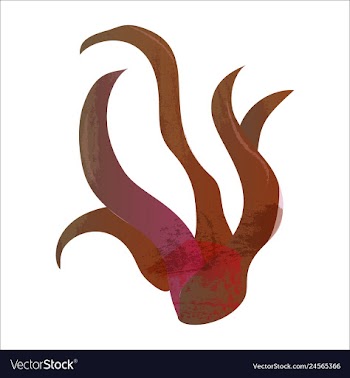Set of watercolor seaweed and corals isolated on vector image