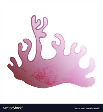 Set of watercolor seaweed and corals isolated on vector image