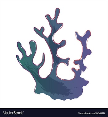 Set of watercolor seaweed and corals isolated on vector image