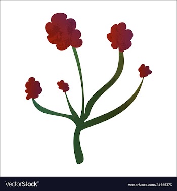 Set of watercolor seaweed and corals isolated on vector image
