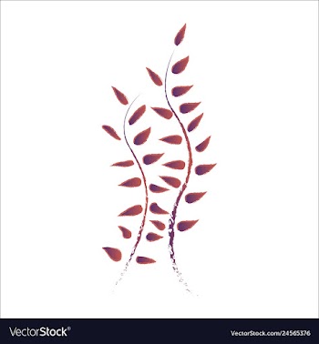 Set of watercolor seaweed and corals isolated on vector image