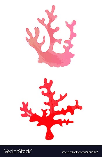 Set of watercolor seaweed and corals isolated on vector image