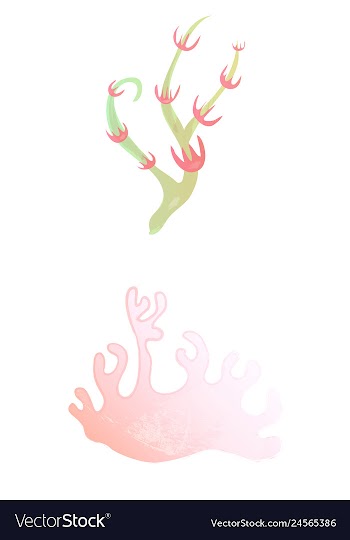 Set of watercolor seaweed and corals isolated on vector image