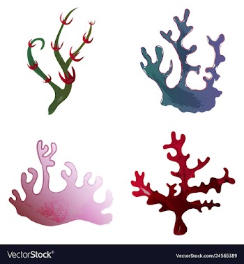 Set of watercolor seaweed and corals isolated on vector image