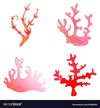 Set of watercolor seaweed and corals isolated on vector image