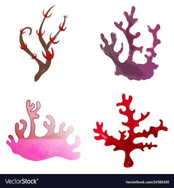 Set of watercolor seaweed and corals isolated on vector image