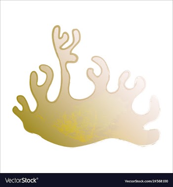 Set of watercolor seaweed and corals isolated on vector image