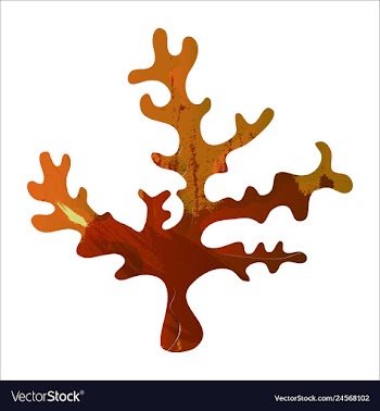 Set of watercolor seaweed and corals isolated on vector image