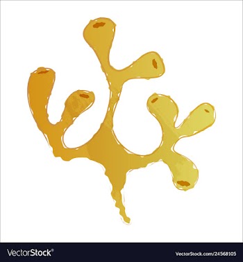 Set of watercolor seaweed and corals isolated on vector image