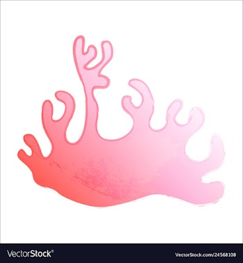 Set of watercolor seaweed and corals isolated on vector image