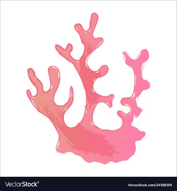 Set of watercolor seaweed and corals isolated on vector image